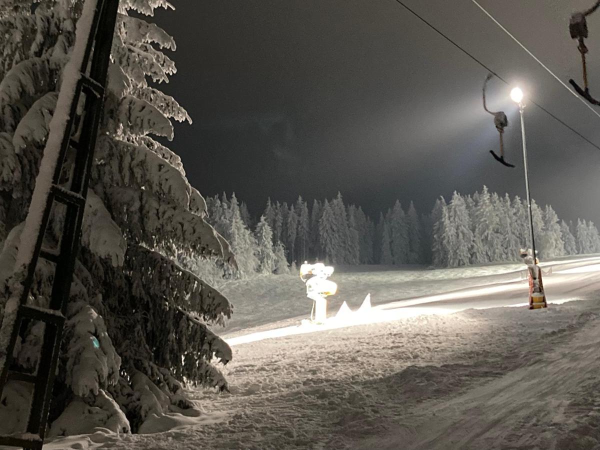 Fewo Jaeger Willingen  Exterior foto